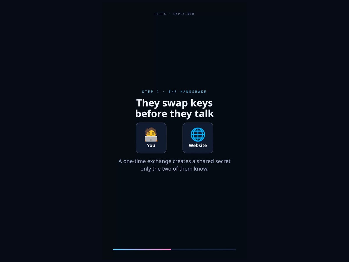 Doc → Animation — a frame from the HTTPS explainer: You and Website nodes swapping keys, big legible type, on a dark tech backdrop